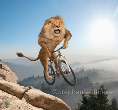 De fietsende leeuw