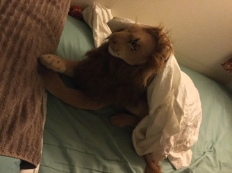 Op een morgen in juli 2019 werd ik wakker en vond Rob Full Lion op dusdanige wijze gehuld in het complete Queen-size laken. Aangezien ik dit niet gedaan had, denk ik graag dat dit een van Robs practical jokes was.