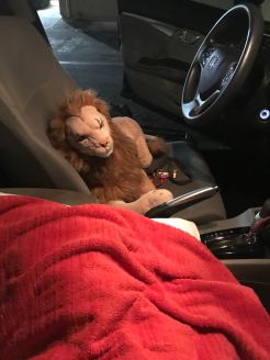 Rob Magician Lion die me gezelschap houdt op mijn tweede tripje naar het Woodland Sleep Research Center
